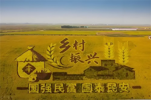 必读！乡村振兴先进村发展的10条共同经验