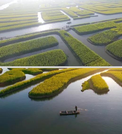 长沙景致天成农业项目规划设计有限责任公司,长沙农业项目,休闲农业规划,旅游景区设计